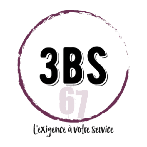 Logo 3BS67